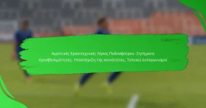 Αγροτικές Ερασιτεχνικές Λίγκες Ποδοσφαίρου: Ζητήματα προσβασιμότητας, Υποστήριξη της κοινότητας, Τοπικοί ανταγωνισμοί