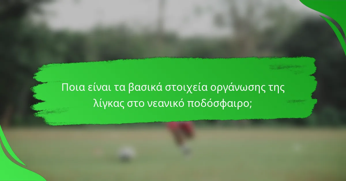 Ποια είναι τα βασικά στοιχεία οργάνωσης της λίγκας στο νεανικό ποδόσφαιρο;