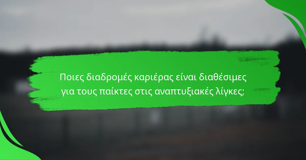 Ποιες διαδρομές καριέρας είναι διαθέσιμες για τους παίκτες στις αναπτυξιακές λίγκες;